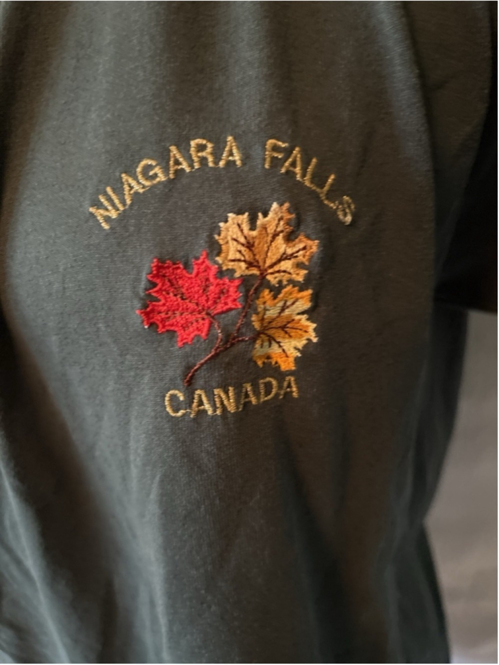Niagara Falls Canada Olive Green T-shirt Size XL Fall Leaves